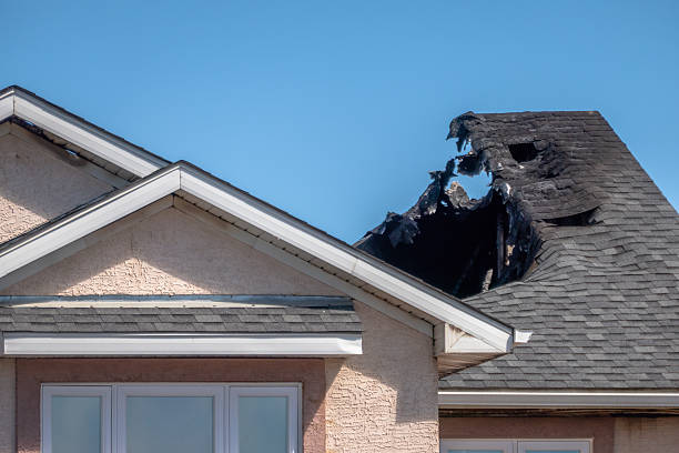 Top rated local Firefighting Water Removal specialists in Chantilly, VA